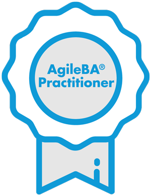 agileba practitioner Netmind