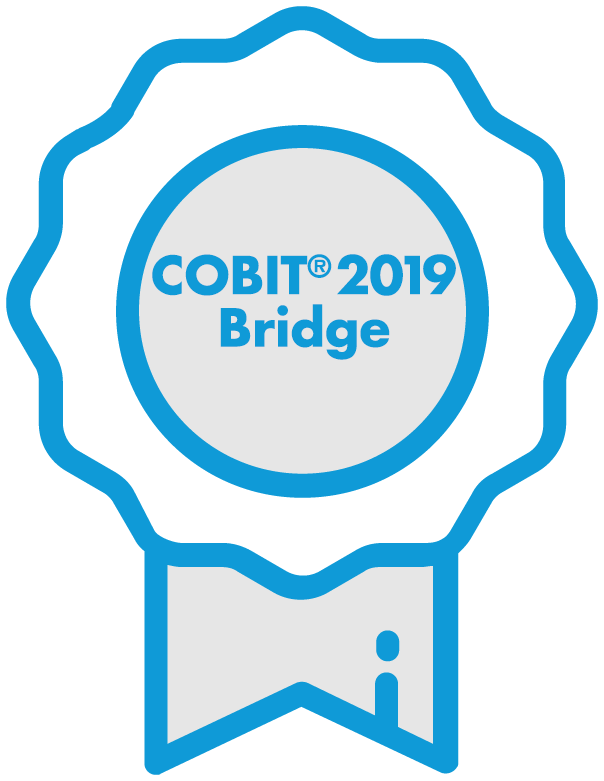 COBIT-2019 Actual Tests