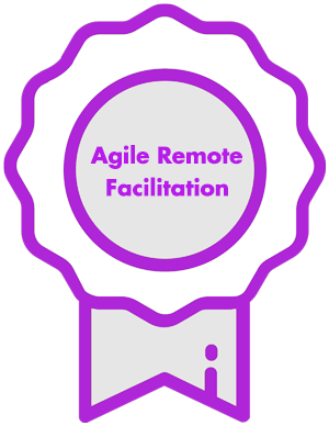 Agile Remote Facilitation Netmind