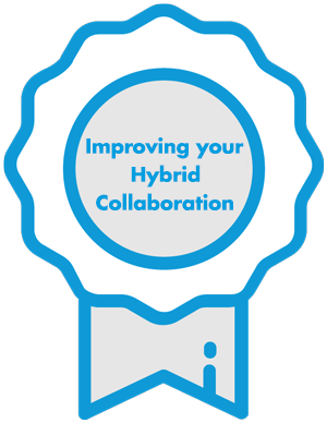 Improving your Hybrid Collaboration Netmind