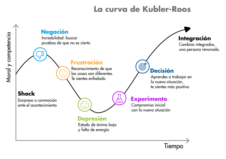 Adaptación al cambio en primera persona - Netmind