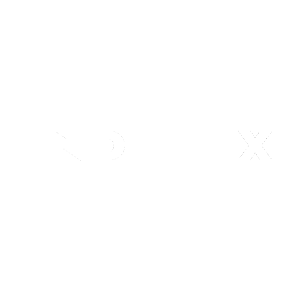 inditex logo blanco