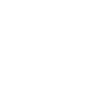 t systems logo blanco