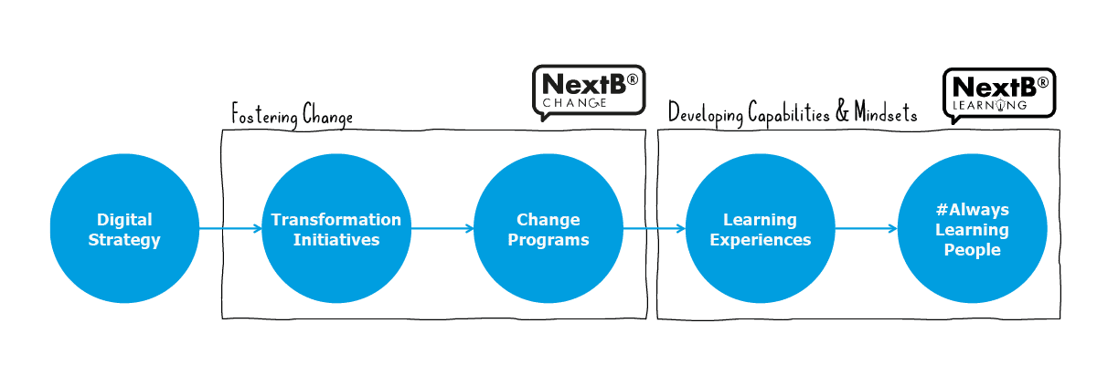 framework-nextb