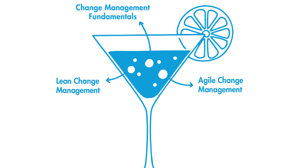 change management approach