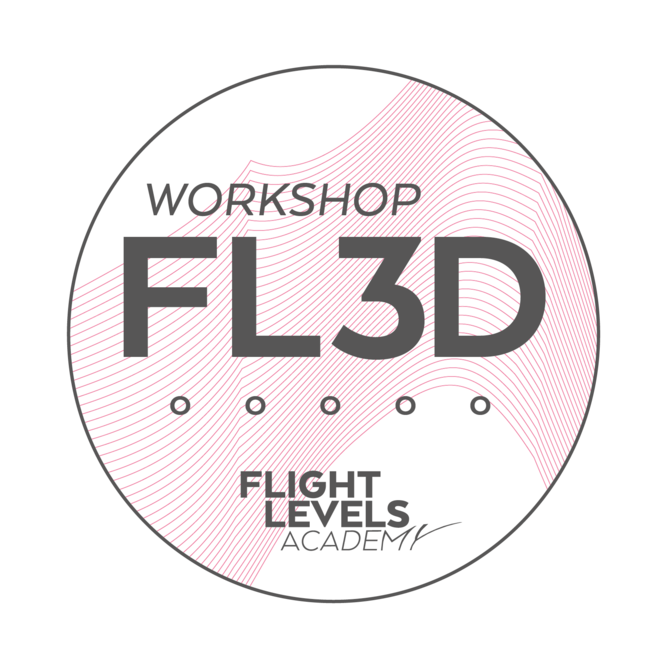 Workshop FL3D Netmind